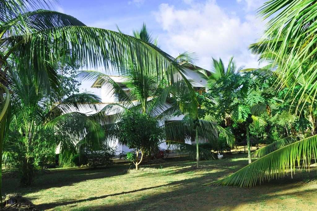 Coconut Garden House Hotel Udawalawe Ngoại thất bức ảnh