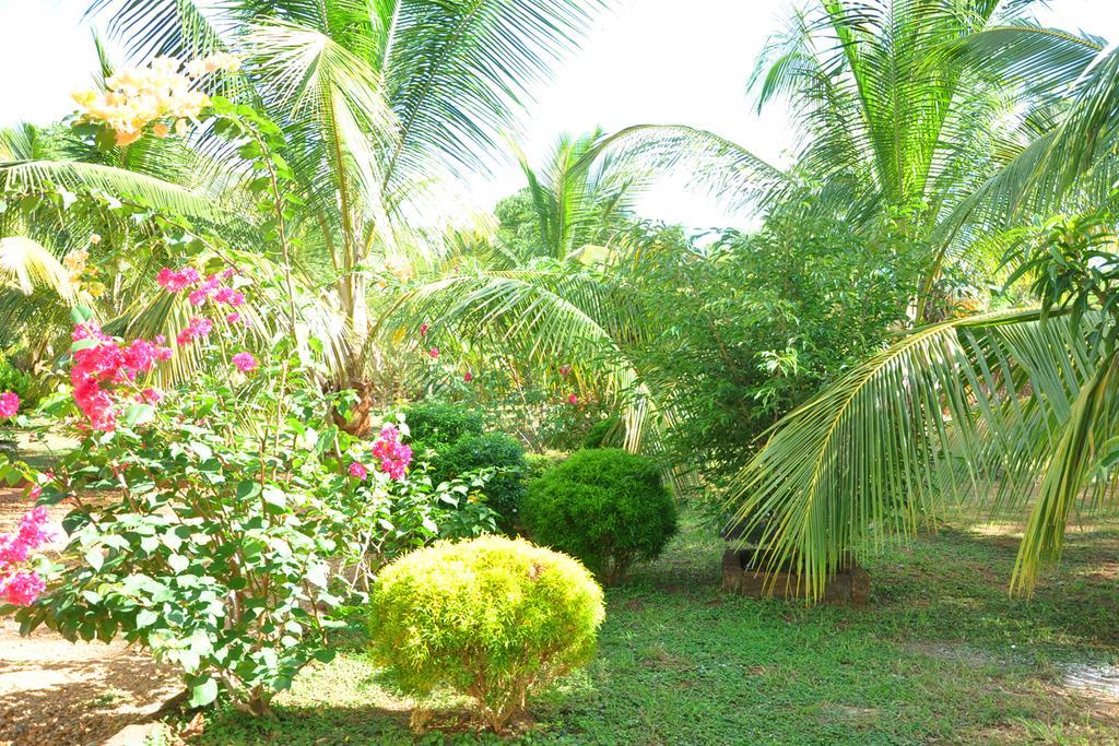 Coconut Garden House Hotel Udawalawe Ngoại thất bức ảnh