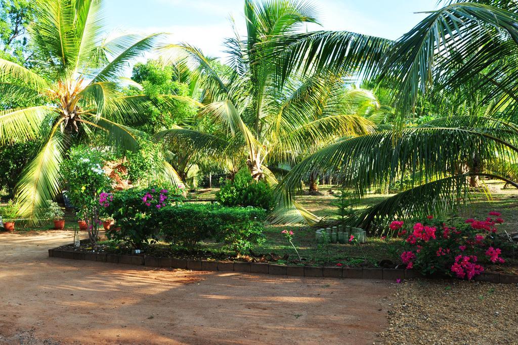 Coconut Garden House Hotel Udawalawe Ngoại thất bức ảnh