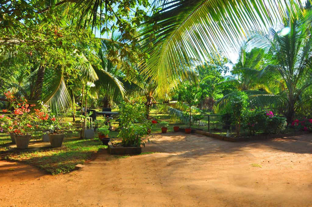 Coconut Garden House Hotel Udawalawe Ngoại thất bức ảnh