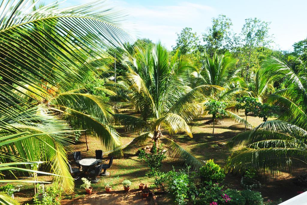 Coconut Garden House Hotel Udawalawe Ngoại thất bức ảnh